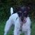 Tom Croston's profile image