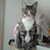 Maureen Thompson's profile image
