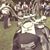 Korey Jelinek's profile image