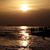 Wendy Humphrey Carroll's profile image