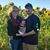 Macy Lyn Karl's profile image