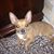 Cecelia Corvin Miller's profile image