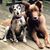 Leslie Plowman Fisken's profile image