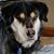 Karen Patton's profile image