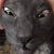 Jason Faulds's profile image