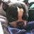Mary Lisa Knight's profile image