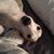 Michelle Smyth McDermott's profile image