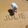 Julie T's profile image
