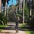 Ileana Lee Garcia's profile image