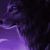 Candice Sutton's profile image