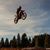 Dawn Piazza Stob's profile image