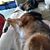 Judy Osborn's profile image