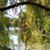Carol Fingar's profile image