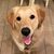 Rachael Nachtrieb Hilst's profile image