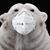 Bill Rothe's profile image