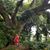 Evelyn Dye-Garcia's profile image