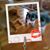 Ruth Rachel Lamothe's profile image
