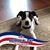 Gerri Tosques Peter's profile image