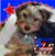Elaine Rosenfield's profile image
