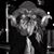 Bridget Files-Herrin's profile image
