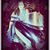 Marcela Cruz's profile image