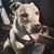 Deon Christopher Smith's profile image
