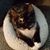 Jennifer Sue Weise's profile image