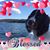 Lori Jennings's profile image