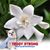 Kathy Pearson's profile image