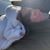 Josh James's profile image