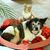Darleen Alston George's profile image