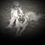 Loulou Lance's profile image