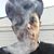 Austin Zajac's profile image