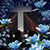 Tammy Nelson's profile image