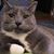Steven Baumgartner's profile image