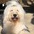 Jane K Pfiffner's profile image