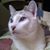Tarry Palm's profile image