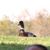 Kari Da Owll's profile image