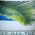 Gee-Ima-Tree Landscaping's profile image