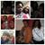 Sharde Greene's profile image