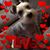Robin Arnott's profile image
