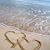 Shirl Hontz Nissley's profile image