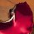 Anita Solorzano's profile image