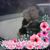 Kathy Lawson Hazel's profile image