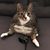 Albra Rae's profile image