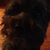 Steve Mincer's profile image
