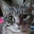 Kim Anderson's profile image