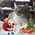 Kelly Wiesen's profile image