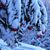 Heather Deason Brannon's profile image