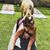 Carly Hannah Wolfert's profile image